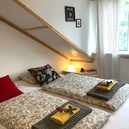 ゲストハウス Zoei's Place