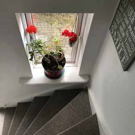 Zoei'S Place