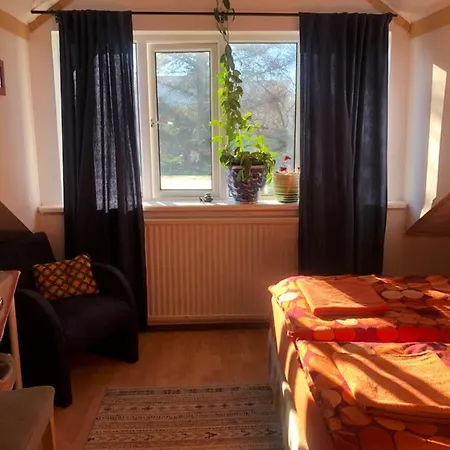 Zoei'S Place * Reykjavik